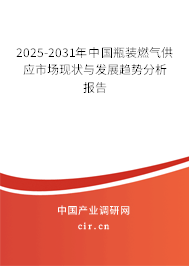 2025-2031年中國瓶裝燃氣供應(yīng)市場現(xiàn)狀與發(fā)展趨勢分析報告