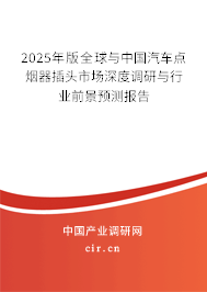 2025年版全球與中國汽車點(diǎn)煙器插頭市場深度調(diào)研與行業(yè)前景預(yù)測報(bào)告