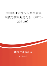 中國商業(yè)廚房滅火系統(tǒng)發(fā)展現(xiàn)狀與前景趨勢分析（2025-2031年）