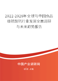 2022-2028年全球與中國食品級硫酸鈣行業(yè)發(fā)展全面調(diào)研與未來趨勢報告