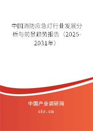 中國消防應(yīng)急燈行業(yè)發(fā)展分析與前景趨勢報告（2025-2031年）