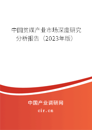 中國(guó)貧煤產(chǎn)業(yè)市場(chǎng)深度研究分析報(bào)告（2023年版）