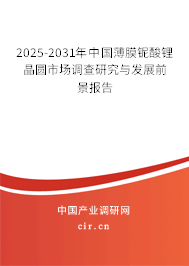 2025-2031年中國薄膜鈮酸鋰晶圓市場調(diào)查研究與發(fā)展前景報告