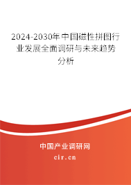 2024-2030年中國磁性拼圖行業(yè)發(fā)展全面調研與未來趨勢分析