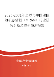 2025-2031年全球與中國磁阻隨機存儲器（MRAM）行業(yè)研究分析及趨勢預測報告
