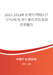 2025-2031年全球與中國大尺寸PERC電池行業(yè)現(xiàn)狀及發(fā)展前景報告