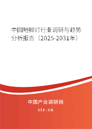中國地腳燈行業(yè)調(diào)研與趨勢分析報告（2024-2030年）