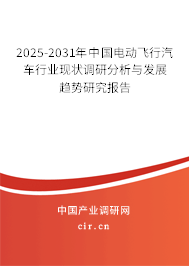 2025-2031年中國電動飛行汽車行業(yè)現(xiàn)狀調(diào)研分析與發(fā)展趨勢研究報(bào)告