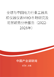 全球與中國電力行業(yè)工器具和儀器儀表MRO市場研究及前景趨勢分析報(bào)告（2022-2028年）