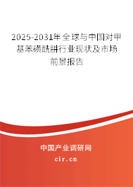 2025-2031年全球與中國對甲基苯磺酰肼行業(yè)現(xiàn)狀及市場前景報告