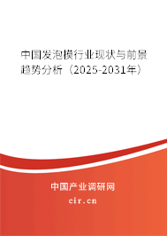 中國(guó)發(fā)泡模行業(yè)現(xiàn)狀與前景趨勢(shì)分析（2025-2031年）