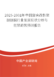 2025-2031年中國復(fù)合改性聚醚醚酮行業(yè)發(fā)展現(xiàn)狀分析與前景趨勢預(yù)測報(bào)告