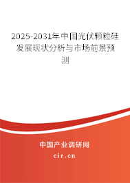2025-2031年中國光伏顆粒硅發(fā)展現(xiàn)狀分析與市場(chǎng)前景預(yù)測(cè)