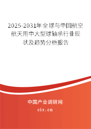 2025-2031年全球與中國航空航天用中大型球軸承行業(yè)現(xiàn)狀及趨勢分析報(bào)告