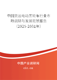 中國貨運(yùn)電動三輪車行業(yè)市場調(diào)研與發(fā)展前景報(bào)告（2025-2031年）