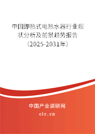中國即熱式電熱水器行業(yè)現(xiàn)狀分析及前景趨勢報告（2025-2031年）