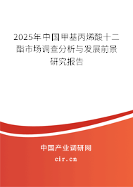 2025年中國甲基丙烯酸十二酯市場調查分析與發(fā)展前景研究報告