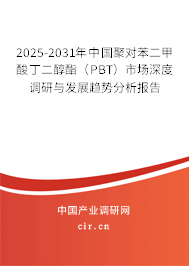 2025-2031年中國聚對苯二甲酸丁二醇酯（PBT）市場深度調(diào)研與發(fā)展趨勢分析報告