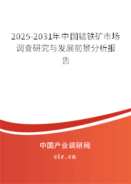 2025-2031年中國(guó)錳鐵礦市場(chǎng)調(diào)查研究與發(fā)展前景分析報(bào)告