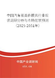 中國汽車覆蓋件模具行業(yè)現(xiàn)狀調(diào)研分析與市場前景預測（2025-2031年）