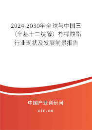 2024-2030年全球與中國三（辛基十二烷醇）檸檬酸酯行業(yè)現(xiàn)狀及發(fā)展前景報告