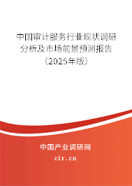 中國審計(jì)服務(wù)行業(yè)現(xiàn)狀調(diào)研分析及市場前景預(yù)測報告（2025年版）