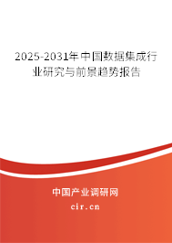 2025-2031年中國數(shù)據(jù)集成行業(yè)研究與前景趨勢報(bào)告