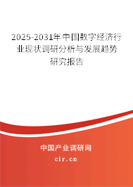 2025-2031年中國數(shù)字經濟行業(yè)現(xiàn)狀調研分析與發(fā)展趨勢研究報告