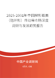 2025-2031年中國梯形截面（肋環(huán)形）傳動帶市場深度調(diào)研與發(fā)展趨勢報告