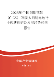 2025年中國(guó)銅銦鎵硒（CIGS）薄膜太陽(yáng)能電池行業(yè)現(xiàn)狀調(diào)研及發(fā)展趨勢(shì)預(yù)測(cè)報(bào)告