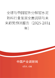 全球與中國窯外分解窯水泥熟料行業(yè)發(fā)展全面調(diào)研與未來趨勢預測報告（2025-2031年）