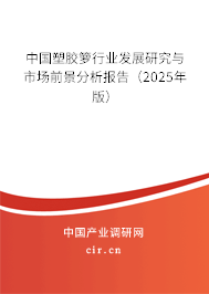 中國塑膠籮行業(yè)發(fā)展研究與市場前景分析報告（2025年版）