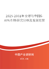 2025-2031年全球與中國6-APA市場研究分析及發(fā)展前景 2025-2031年全球與中國6-APA市場研究分析及發(fā)展前景