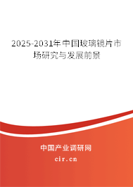 2025-2031年中國(guó)玻璃鏡片市場(chǎng)研究與發(fā)展前景