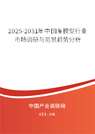2025-2031年中國(guó)車模型行業(yè)市場(chǎng)調(diào)研與前景趨勢(shì)分析