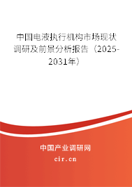 中國電液執(zhí)行機構市場現(xiàn)狀調(diào)研及前景分析報告（2025-2031年）