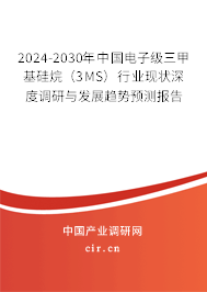 2024-2030年中國(guó)電子級(jí)三甲基硅烷（3MS）行業(yè)現(xiàn)狀深度調(diào)研與發(fā)展趨勢(shì)預(yù)測(cè)報(bào)告