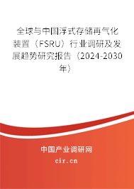 全球與中國浮式存儲(chǔ)再氣化裝置（FSRU）行業(yè)調(diào)研及發(fā)展趨勢研究報(bào)告（2024-2030年）