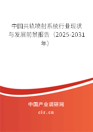 中國共軌噴射系統(tǒng)行業(yè)現(xiàn)狀與發(fā)展前景報告（2025-2031年）