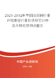 2025-2031年中國互聯(lián)網(wǎng)行業(yè)并購重組行業(yè)現(xiàn)狀研究分析及市場前景預(yù)測報(bào)告