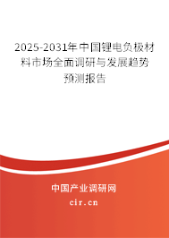 2025-2031年中國(guó)鋰電負(fù)極材料市場(chǎng)全面調(diào)研與發(fā)展趨勢(shì)預(yù)測(cè)報(bào)告