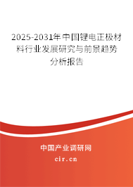 2025-2031年中國鋰電正極材料行業(yè)發(fā)展研究與前景趨勢分析報(bào)告