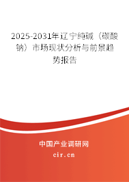 2025-2031年遼寧純堿（碳酸鈉）市場現(xiàn)狀分析與前景趨勢報告