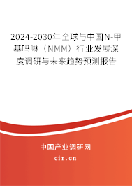 2024-2030年全球與中國(guó)N-甲基嗎啉（NMM）行業(yè)發(fā)展深度調(diào)研與未來趨勢(shì)預(yù)測(cè)報(bào)告