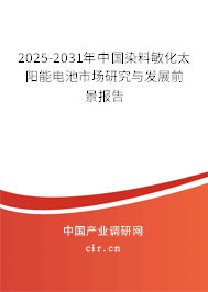 2025-2031年中國染料敏化太陽能電池市場研究與發(fā)展前景報告