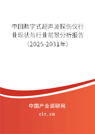 中國數(shù)字式超聲波探傷儀行業(yè)現(xiàn)狀與行業(yè)前景分析報告（2024-2030年）