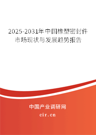 2025-2031年中國(guó)橡塑密封件市場(chǎng)現(xiàn)狀與發(fā)展趨勢(shì)報(bào)告