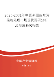2025-2031年中國新疆廢水污染物處理市場現(xiàn)狀調(diào)研分析及發(fā)展趨勢報告