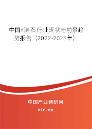 中國Y沸石行業(yè)現(xiàn)狀與前景趨勢報告(2022-2028年) 中國Y沸石行業(yè)現(xiàn)狀與前景趨勢報告(2022-2028年)