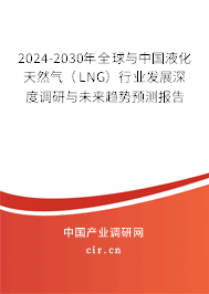 2024-2030年全球與中國液化天然氣（LNG）行業(yè)發(fā)展深度調研與未來趨勢預測報告